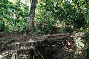 BIB: 
                            <button type="button" onclick="openModal(27799899)" class="btn btn-primary btn-sm float-right btn-popup" data-toggle="modal" data-target=".modal-high-quality">
                        <i class="fas fa-shopping-cart"></i> Add to Cart
                    </button>
                                            <button type="button" onclick="isThisMe(27799899, true)" class="btn btn-success btn-sm float-right btn-popup btn-isme hidden" data-toggle="tooltip" data-placement="bottom" title="นี่คือรูปของคุณใช่ไหม คลิกที่นี่เพื่อเอาเข้าอัลบั้ม">
                        <i class="fas fa-plus"></i> Add to album
                    </button>
                    <button type="button" onclick="isThisMe(27799899, false)" class="btn btn-warning btn-sm float-right btn-popup btn-isnotme hidden">
                        <i class="fas fa-ban"></i> Remove from album
                    </button>